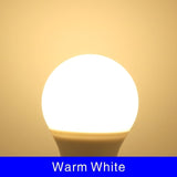 10pcs pack of E27 E14 LED Bulb Lamps Cold and Warm Variants